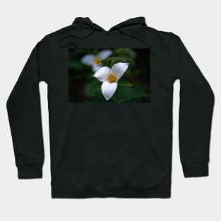 Group of trillium flowers Hoodie